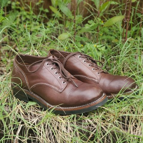 The Flat Head Oxford Shoe