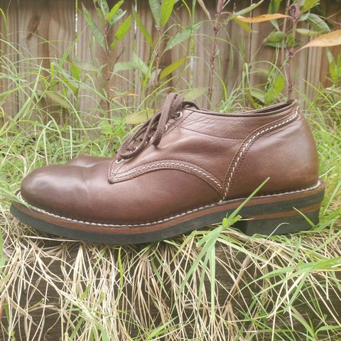 The Flat Head Oxford Shoe
