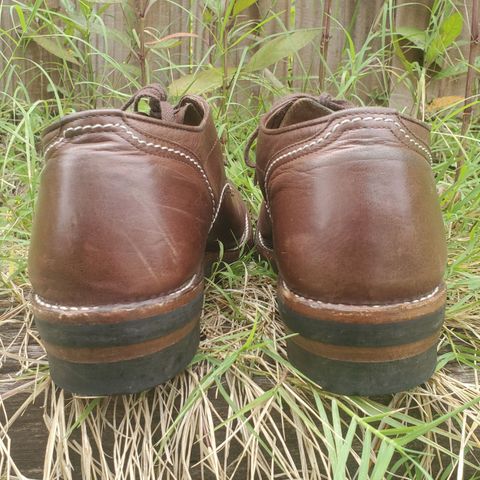 The Flat Head Oxford Shoe