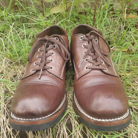 The Flat Head Oxford Shoe