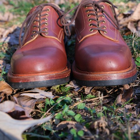 Search result thumbnail of Sagara x Stitchdown Bandung Derby in Conceria Cloe Mahogany Horsebutt