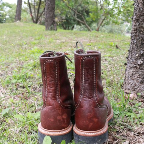 Red Wing Logger
