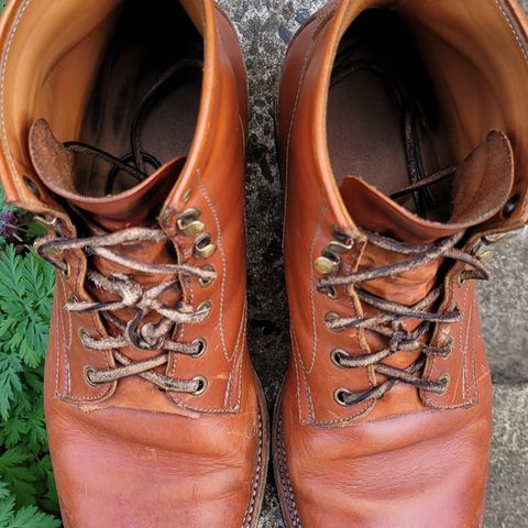 Midas Spalla Derby Boot