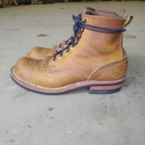 Nicks Prospector
