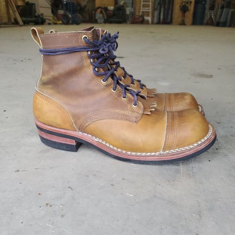 Nicks Prospector
