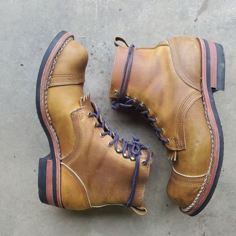 Nicks Prospector