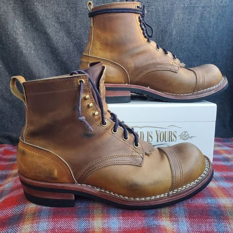Nicks Prospector