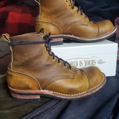 Nicks Prospector