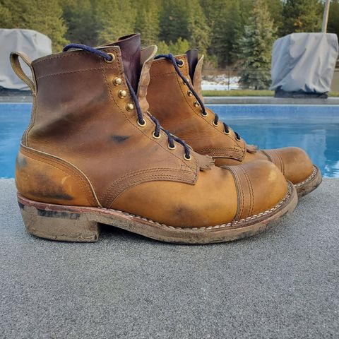 Nicks Prospector