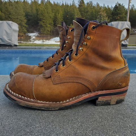 Nicks Prospector