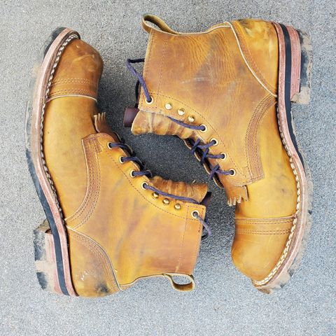 Nicks Prospector