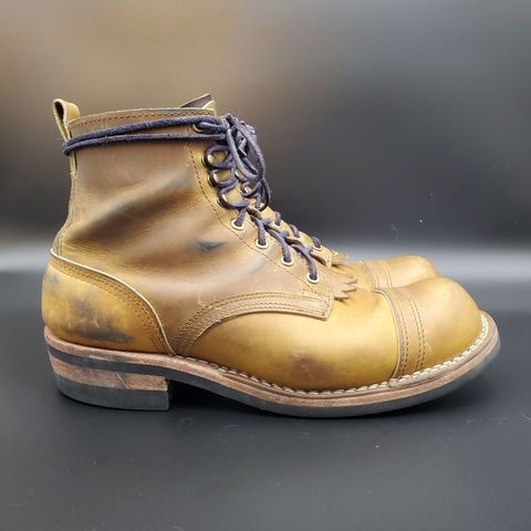 Nicks Prospector