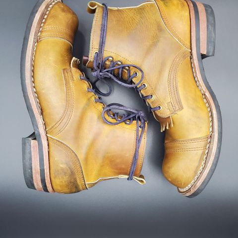 Nicks Prospector
