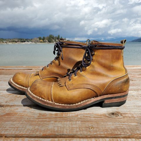 Nicks Prospector
