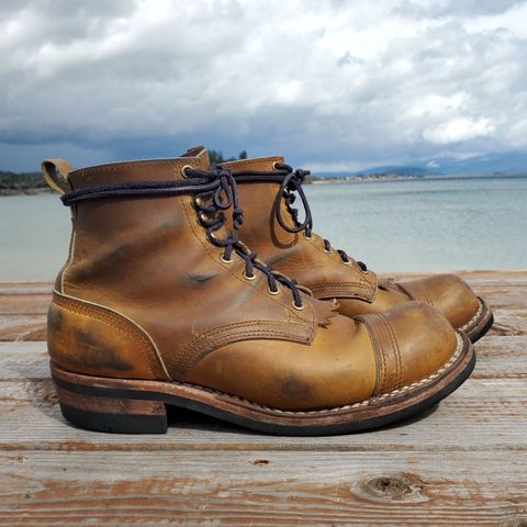 Nicks Prospector