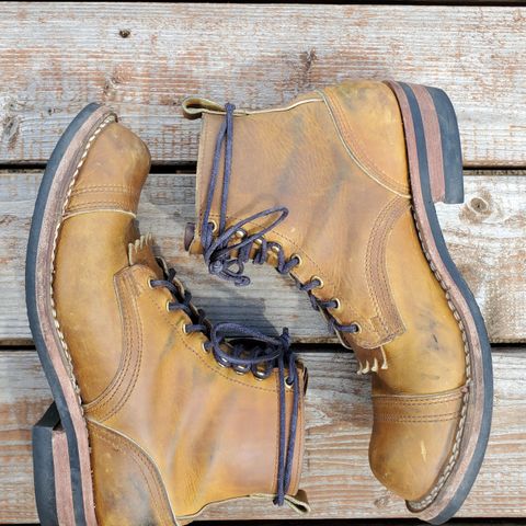 Nicks Prospector