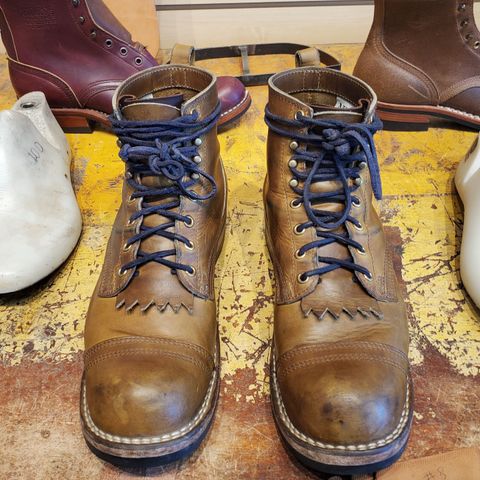 Nicks Prospector