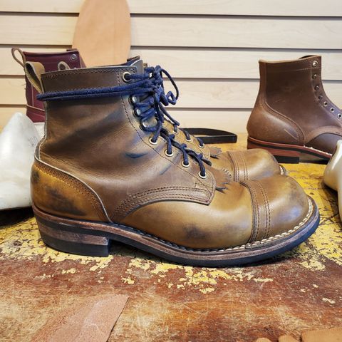 Nicks Prospector