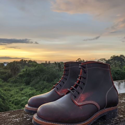 Bridlen Iron Boot