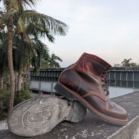 Bridlen Iron Boot