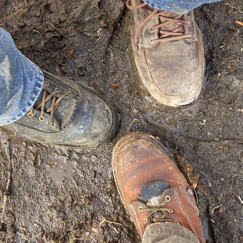 Thorogood 8" Plain Toe