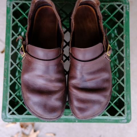 Aurora Shoe Co. Middle English