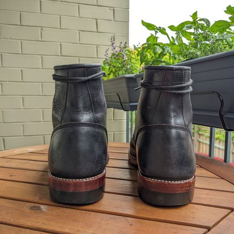 Benzein The Kanon Boot