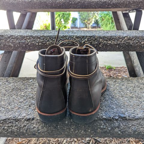 Red Wing Merchant in S.B. Foot Ebony Harness