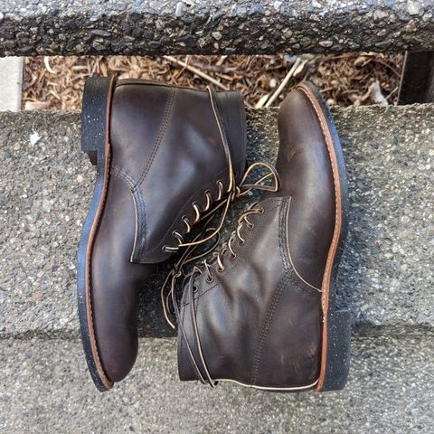 Red Wing Merchant in S.B. Foot Ebony Harness