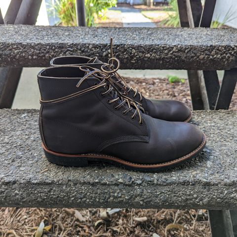 Red Wing Merchant in S.B. Foot Ebony Harness