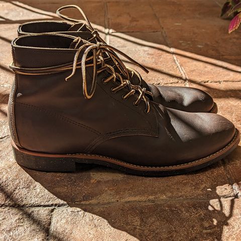 View photo of Red Wing Merchant in S.B. Foot Ebony Harness