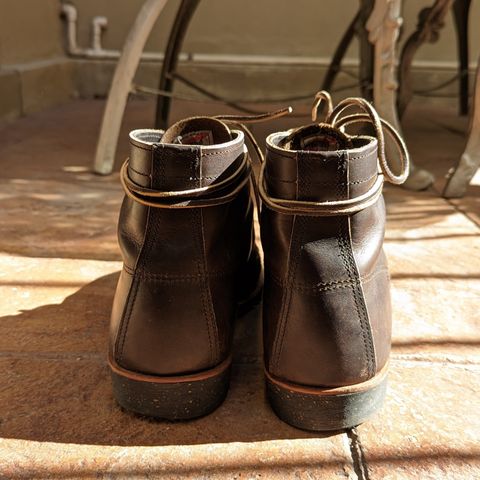 View photo of Red Wing Merchant in S.B. Foot Ebony Harness