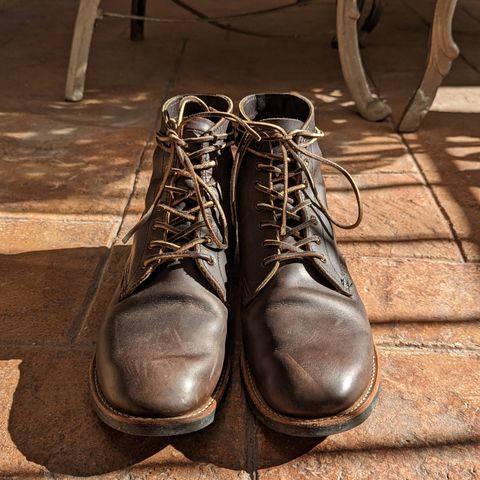 View photo of Red Wing Merchant in S.B. Foot Ebony Harness