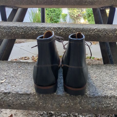Red Wing Beckman Flatbox in S.B. Foot Black Klondike