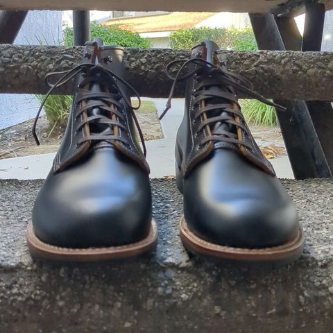 Red Wing Beckman Flatbox in S.B. Foot Black Klondike