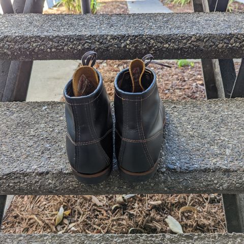 Red Wing Beckman Flatbox in S.B. Foot Black Klondike