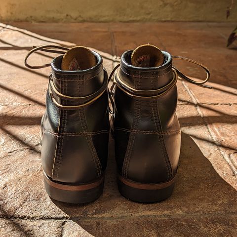Red Wing Beckman Flatbox in S.B. Foot Black Klondike