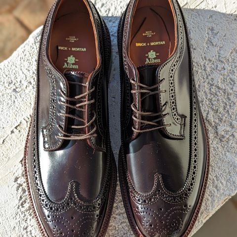 Alden Long Wing Blucher in Horween Color 8 Shell Cordovan