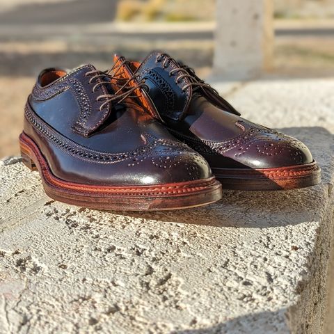 Alden Long Wing Blucher in Horween Color 8 Shell Cordovan