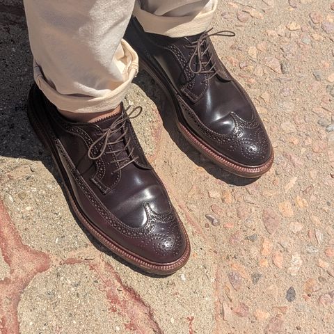 Alden Long Wing Blucher in Horween Color 8 Shell Cordovan