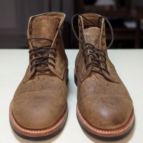 View photo of Oak Street Bootmakers Lakeshore Boot in C.F. Stead Gaucho Waxy Kudu