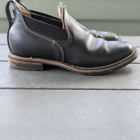Wesco Romeo in Seidel Black Oil Tan