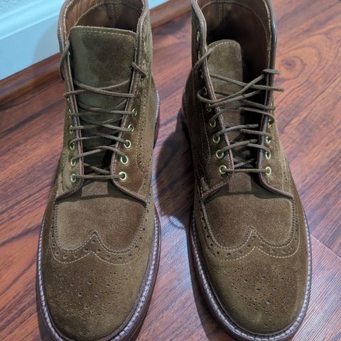 Search result thumbnail of Alden Wingtip Boot in Snuff Suede