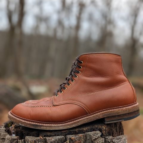 View photo of Alden Indy Boot in Papaya Pegasus Calfskin