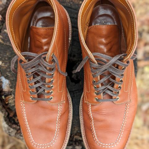 View photo of Alden Indy Boot in Papaya Pegasus Calfskin