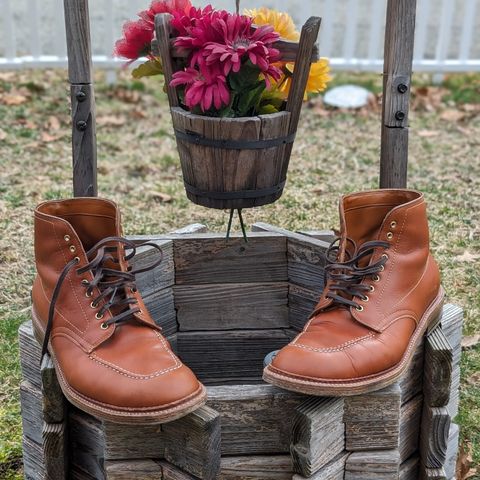 View photo of Alden Indy Boot in Papaya Pegasus Calfskin