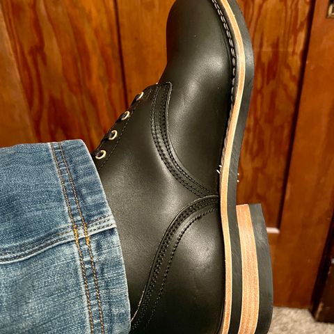 Nicks Free Range in Wickett & Craig Black Oiled Latigo