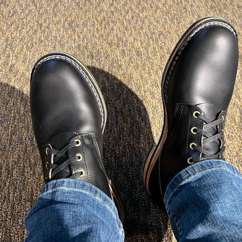 Nicks Free Range in Wickett & Craig Black Oiled Latigo