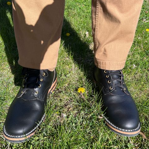 Nicks Free Range in Wickett & Craig Black Oiled Latigo
