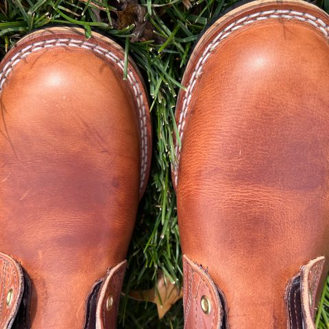 Nicks Free Range in Wickett & Craig Natural Double Stuffed